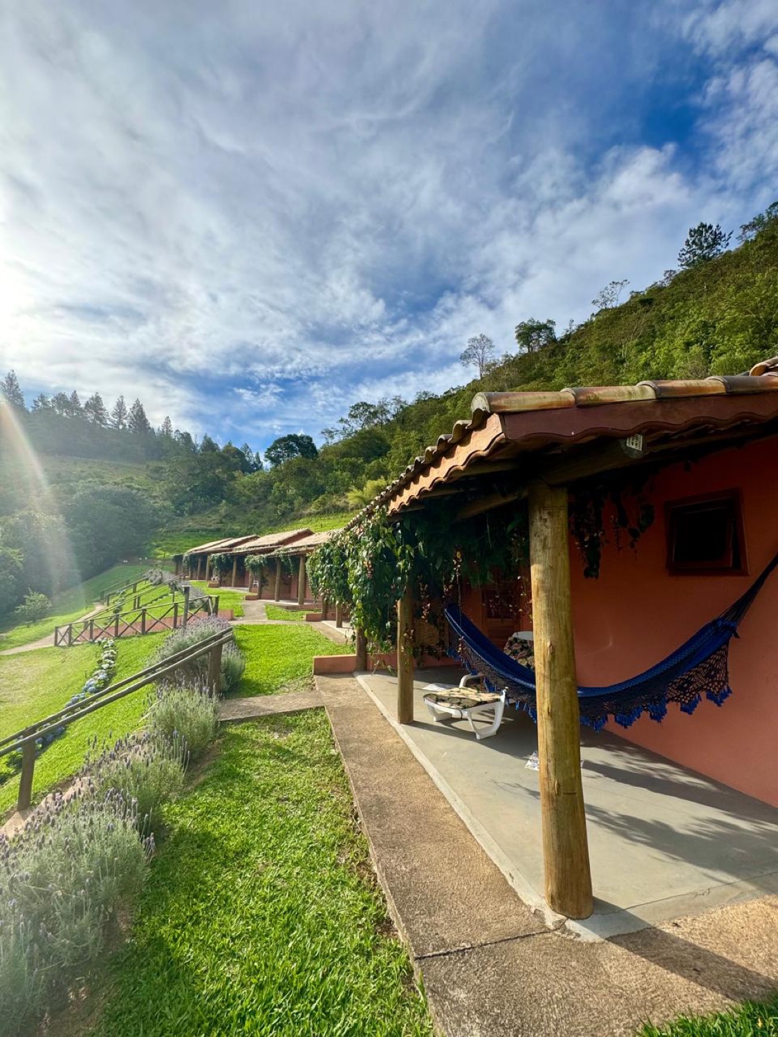 Chalés com canteiros de lavanda e céu azul